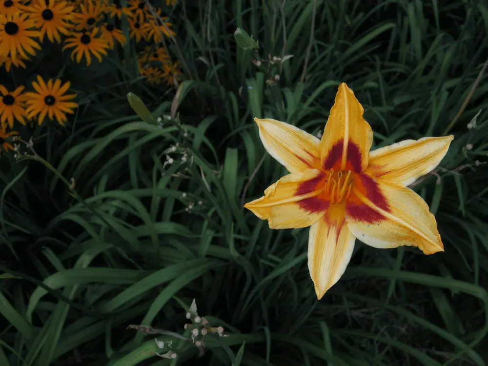La splendeur des lieux au fil des saisons · Photographie 19
