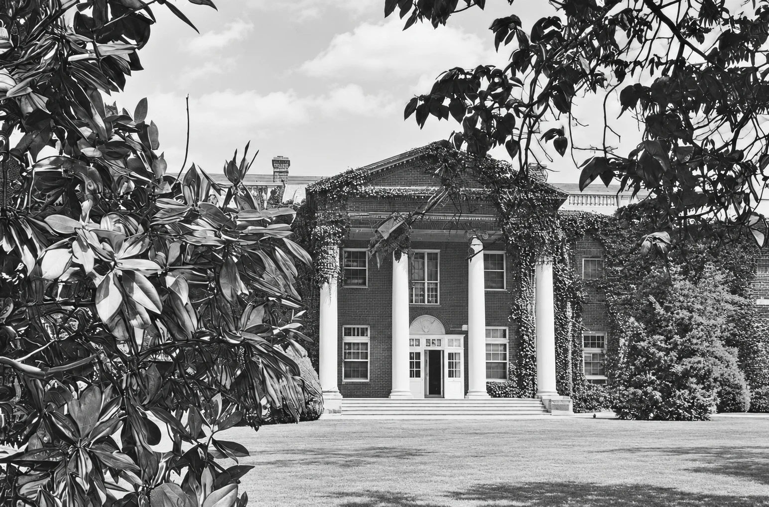 Extérieur - Façade